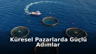 Türkiye'nin Su Ürünleri Sanayisinde Rekor Büyüme