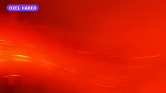 Mutfak Ekipmanlarında Performans Etkisi: Kek Kalıbı Seçiminde Malzeme Farklılıkları