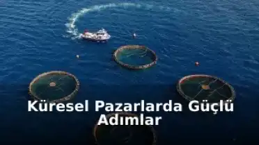 Türkiye'nin Su Ürünleri Sanayisinde Rekor Büyüme