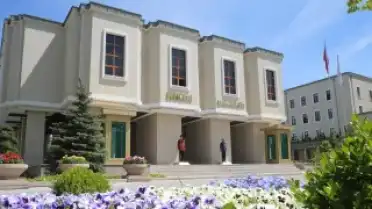 Viranşehir'deki sahipsiz köpek saldırısıyla ilgili müfettiş görevlendirildi