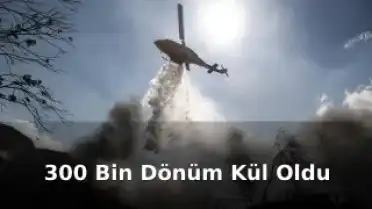 Yunanistan Orman Yangınları ile gündemde