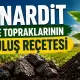 Türk Tarım Topraklarının Kurtuluş Reçetesi : Leonardit