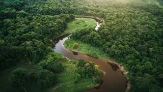 Amazon'da 2.700 Yıllık Dev Yol Ağı Keşfedildi