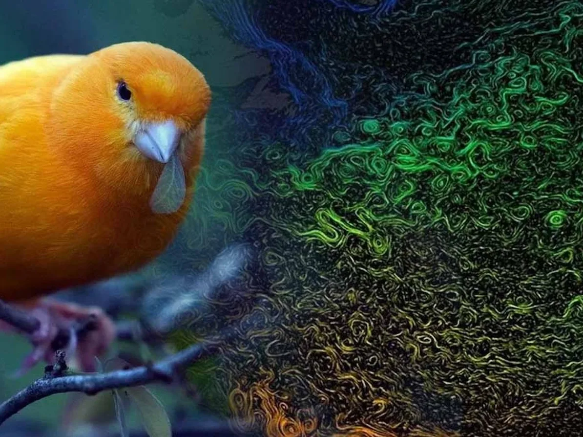 Atlantik Akıntısı Yavaşlıyor: Bilim İnsanları Küresel Etkiler Konusunda Uyarıyor