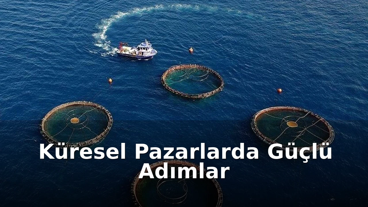 Türkiye'nin Su Ürünleri Sanayisinde Rekor Büyüme