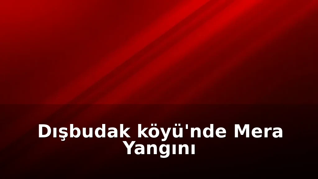 Bingöl'de Mera Yangını Söndürüldü